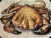Albrecht Durer Lobster Spain oil painting artist